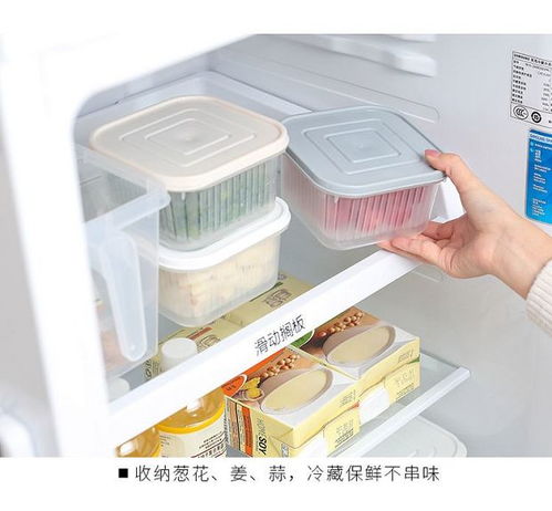 創意廚房好物 點亮烹飪樂趣，提升家居幸福感